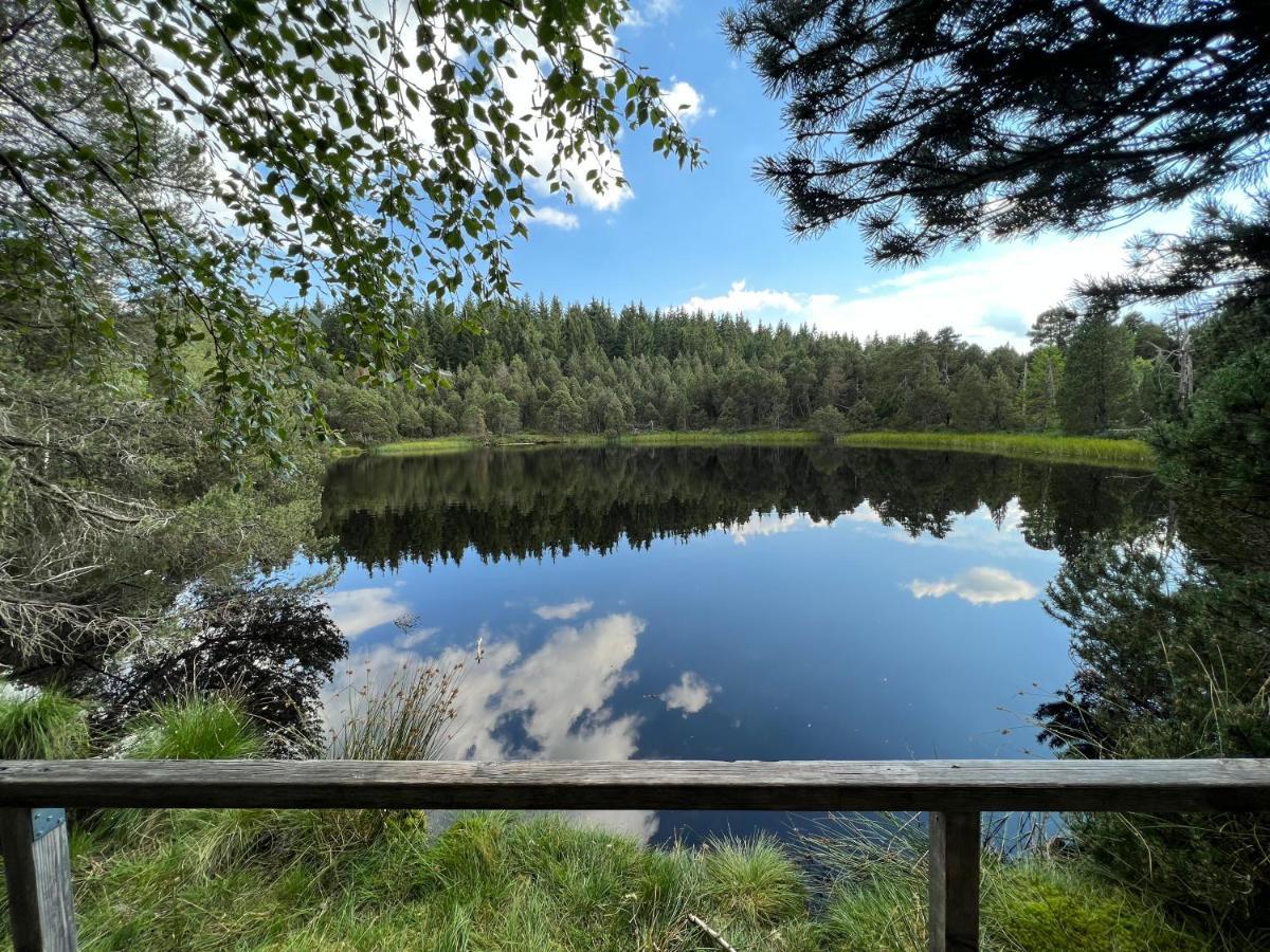 Apartment Annis Panoramablick Pool Sauna Tennis Schonach im Schwarzwald Екстер'єр фото
