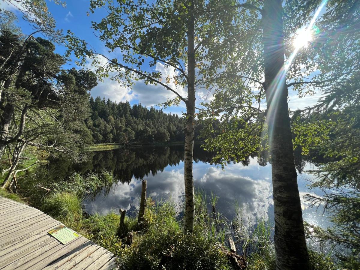 Apartment Annis Panoramablick Pool Sauna Tennis Schonach im Schwarzwald Екстер'єр фото