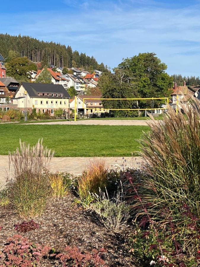 Apartment Annis Panoramablick Pool Sauna Tennis Schonach im Schwarzwald Екстер'єр фото